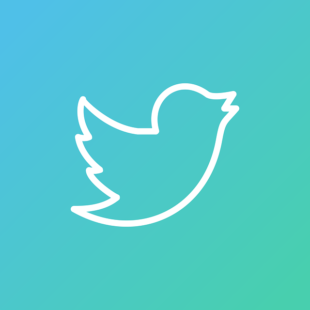 Twitter Icon - Link zum Twitter Profil von @IAO_Pflege